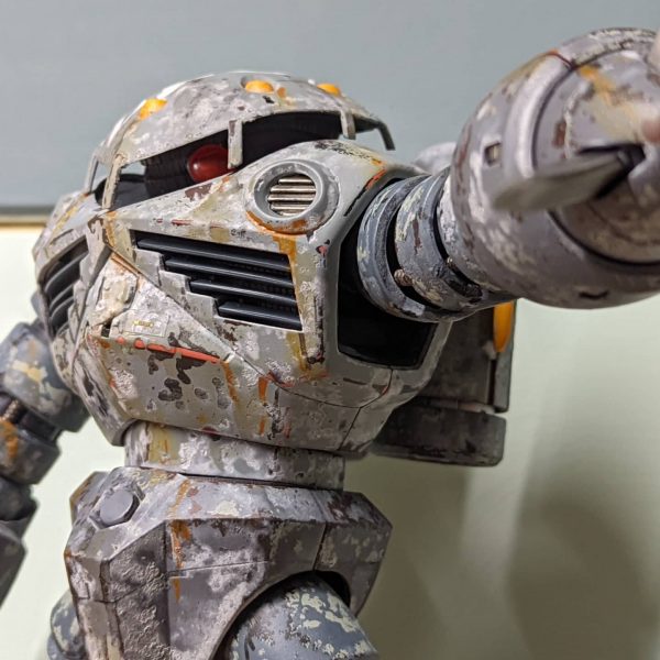 ズゴック塩ケープ風