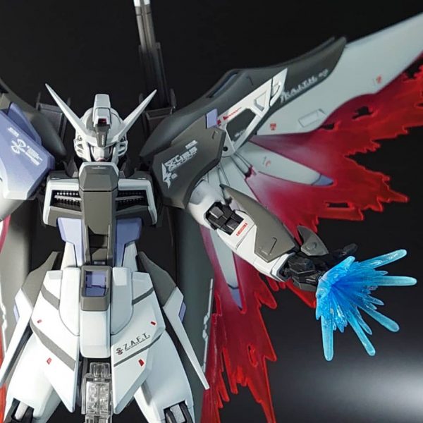 HGディスティニー「悪」