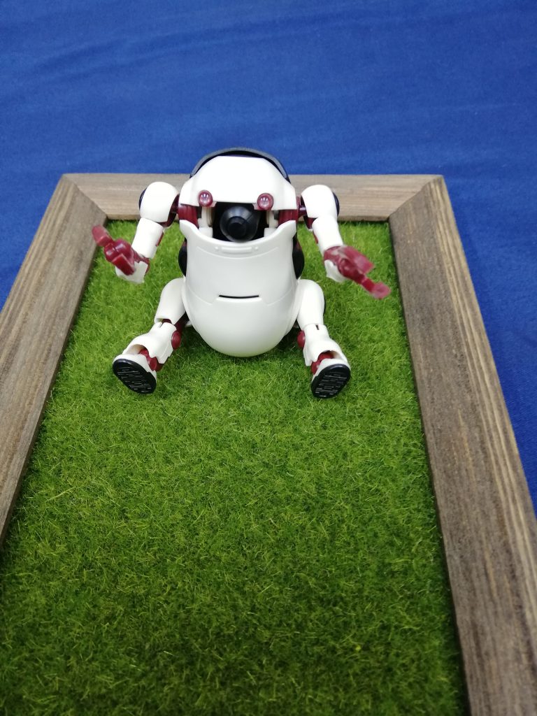 口内大型ミサイル