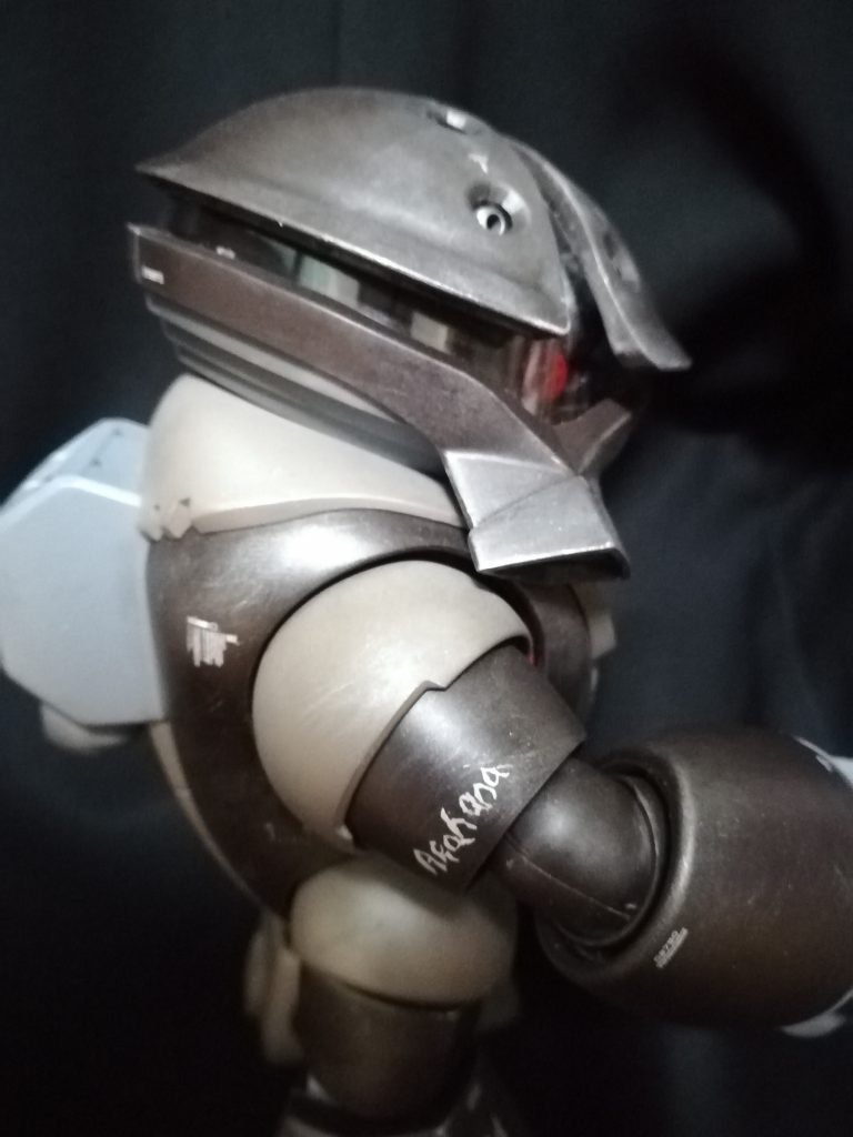 この入れ墨が目に入いらぬか!