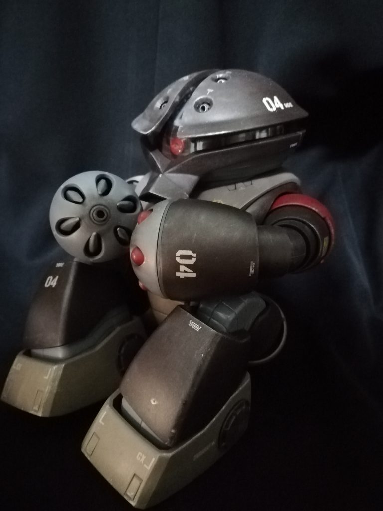 とりあえずおきまりのポーズで