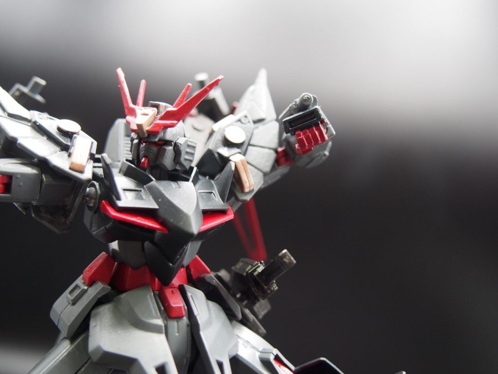 トライバーニングの腕部を使用しているので拳術も可能