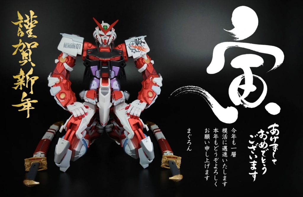 2022.1.1 追記）新年開けたので、お年賀写真を追加掲載！正座もできるアストレイ君、流石です。