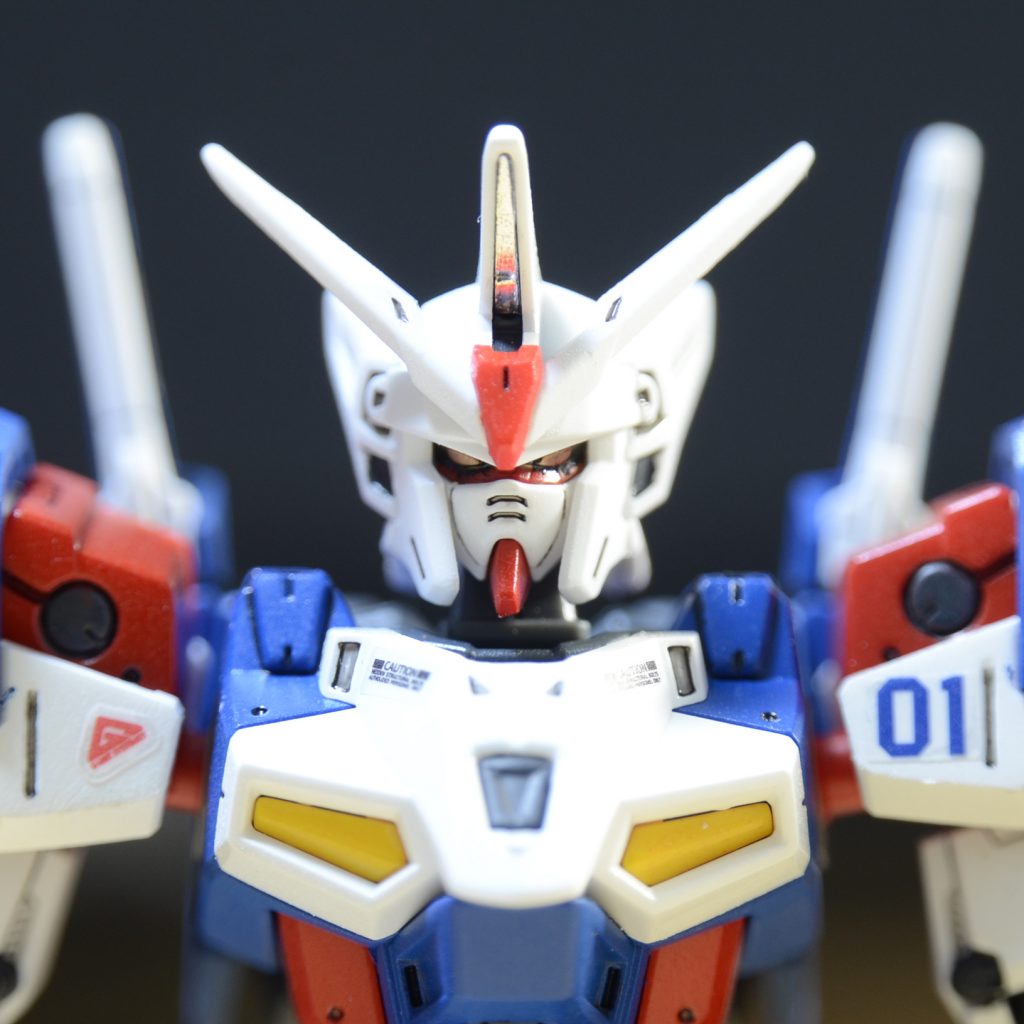 ジェミナスが動いているところご覧くださいhttps://youtu.be/5kyEXcvcHJA