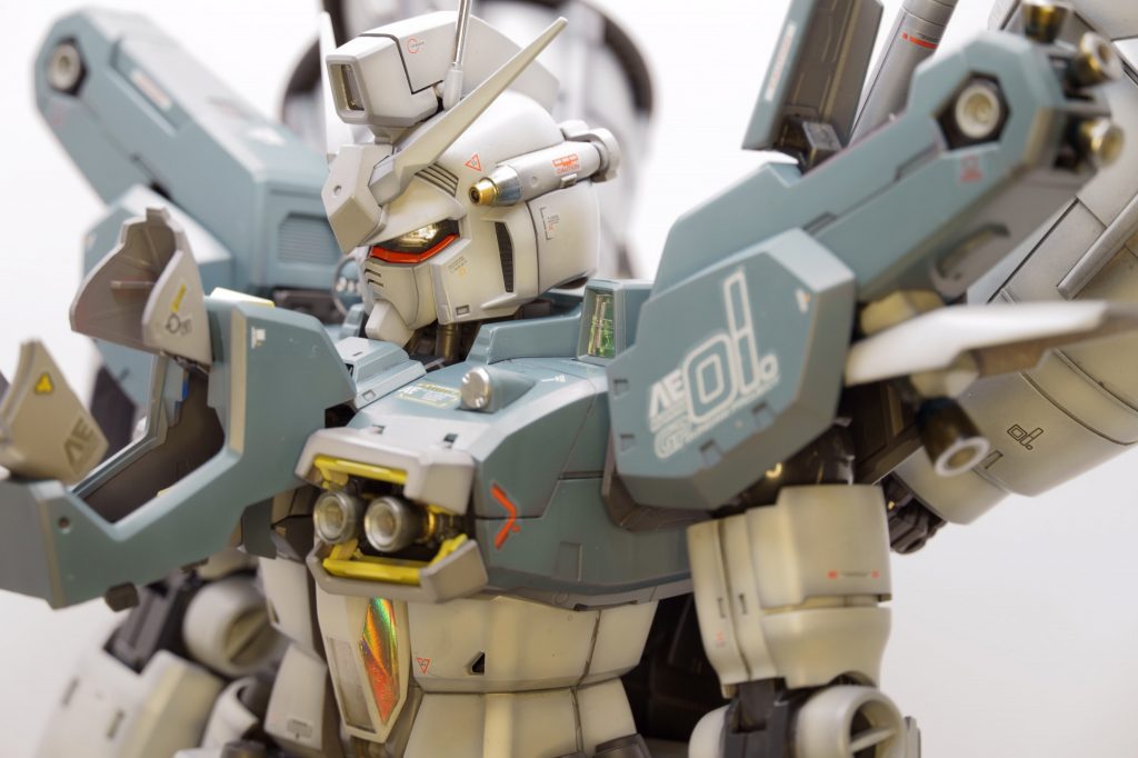 頭部は全く同じ。そのまま使用するようになっています。胸部ブロックは重力下仕様と似ていますが、別物。細部のディティールも違います。