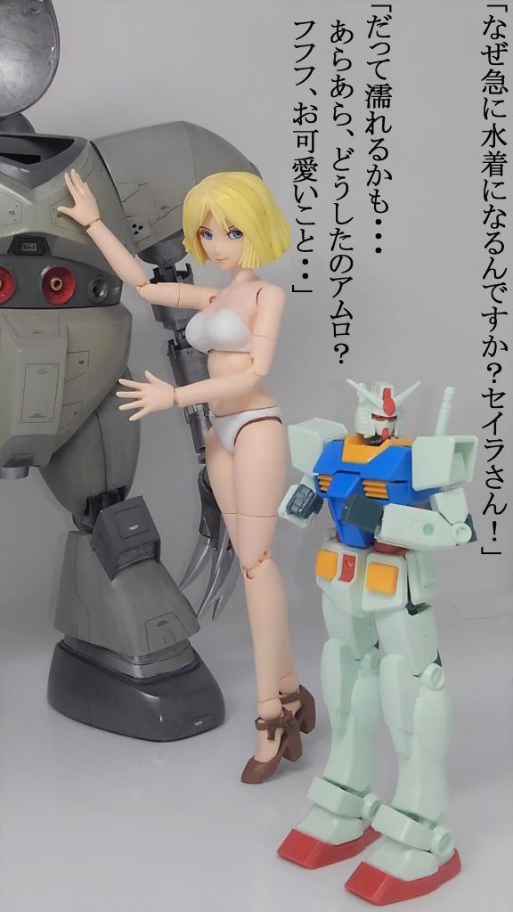 セイラ ＆ ゴッグ–3枚目/制作者：TOMSIM