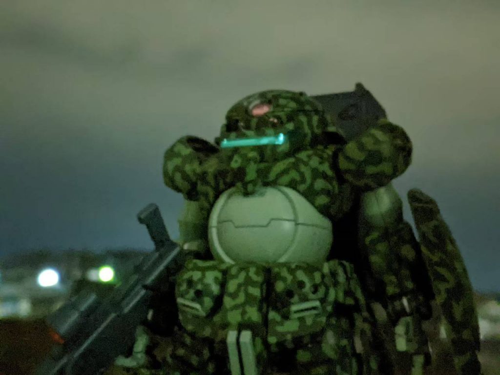 夜間作戦的な写真で〆