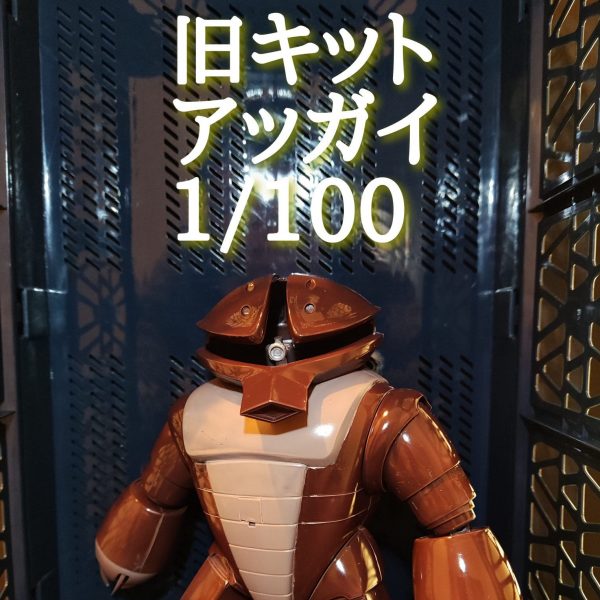 旧キット　アッガイカカオ　1/100　
