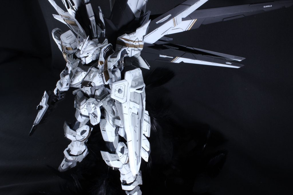 黒背景だと宙に浮きます⸜( ' ᵕ ' )⸝ 露出補正なし