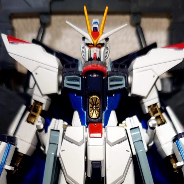 ZGMF X-20A　ストライクフリーダム