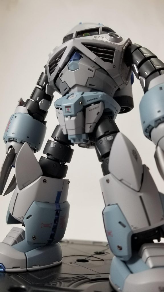 下からのアングルで撮ってみました。この目付きの悪さがお気に入り😁