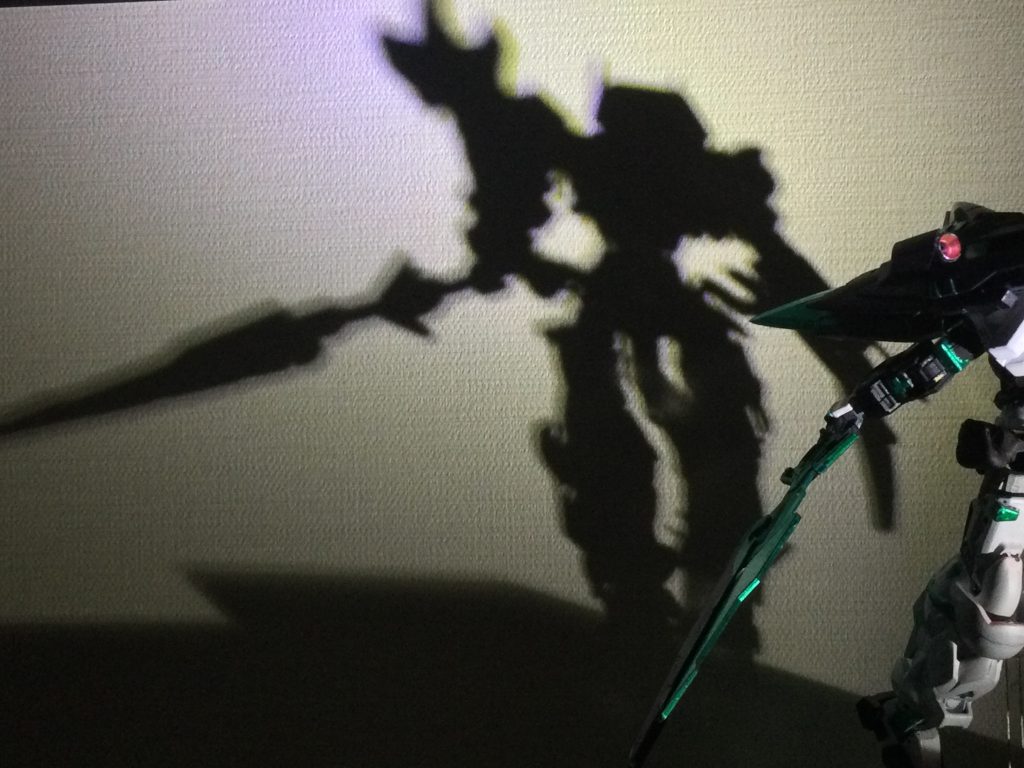 めちゃカッコイイ後影が見えたので載せときます