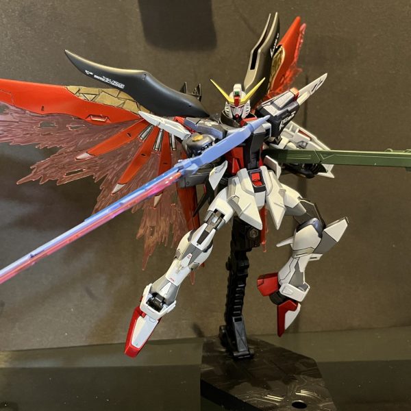 HGCE デスティニー