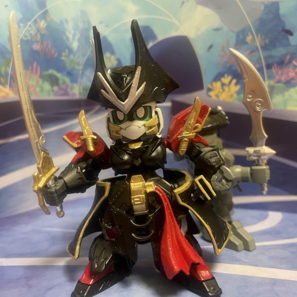 SDW HEROES海賊アン