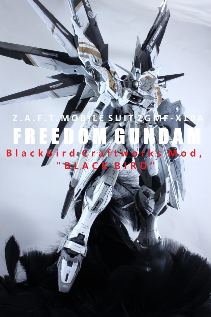 フリーダムガンダム 2 0 Blackbird Kuroxbaneさんのガンプラ作品 Gunsta ガンスタ