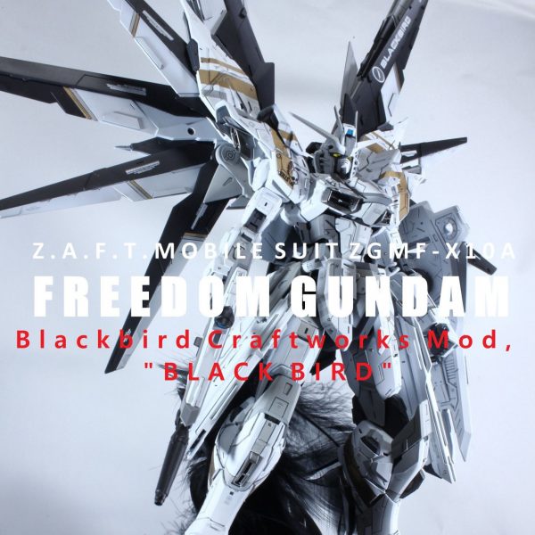 フリーダムガンダム 2.0「BLACKBIRD」