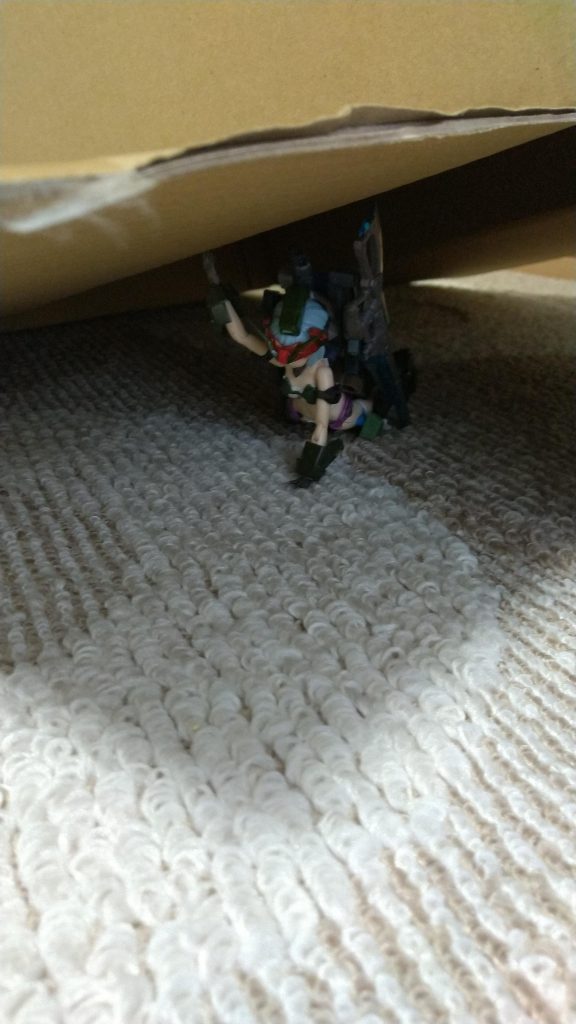 コマンドガンダムは潜伏なども得意という話らしいのでダンボールに隠れてみる。コマンドフレズ曰く……この箱を見ていたら無性に被りたくなったんだ。いや、被らなければならないという使命感を感じた、と言う方が正しいかもしれない。ああ。そしてこうして被ってみると、これが妙に落ち着くんだ。うまく言い表せないが、いるべきところにいる安心感というか人間はこうあるべきだとう確信に満ちた安らぎのようなものを感じる。……らしいですww