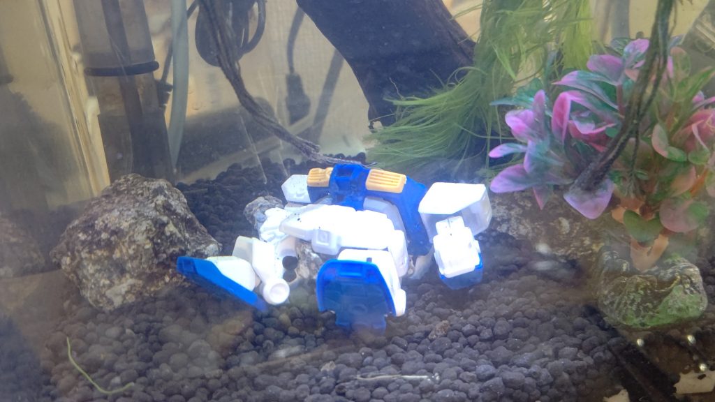 全体的にキズを入れてるので、生き物いれて汚せばいい感じに溶け込むはず