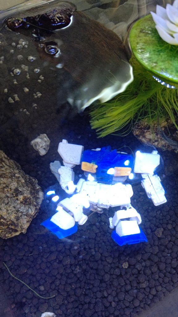 ノコギリで削ってはんだごてで溶かしライターで焼いだけの無塗装なので魚も入れられます。多分、、、