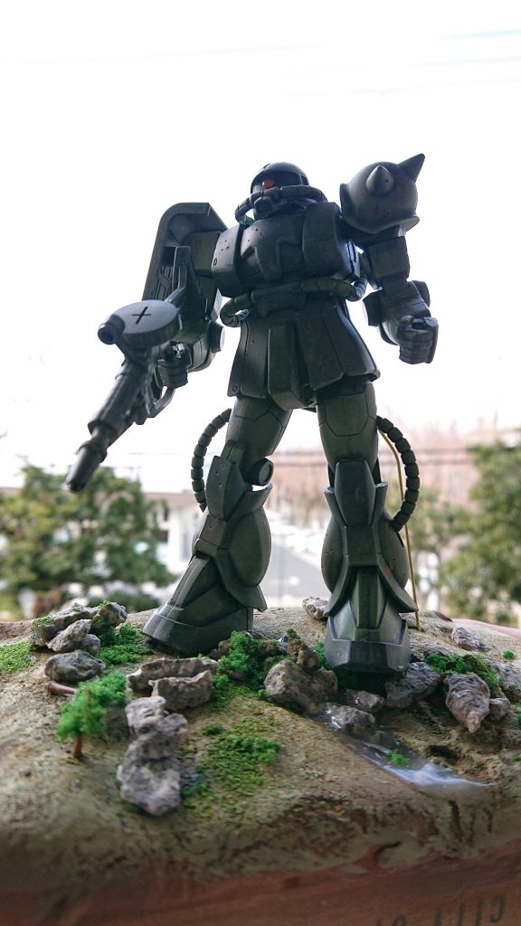 言われてとりあえず1時間位で作った地面です。家が二階なので割りと近所の景色が映ってしまう(笑)