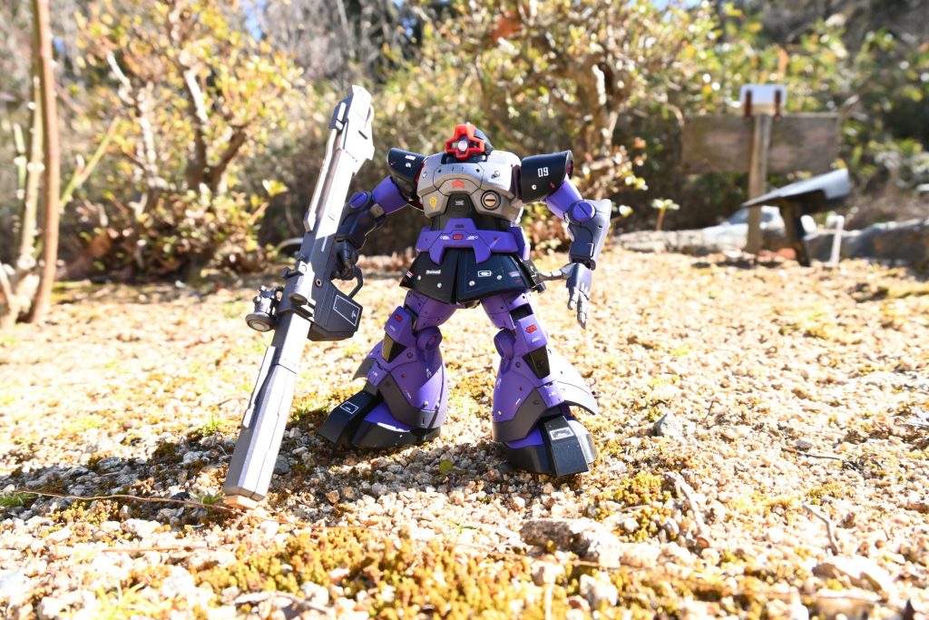 正直に言うと、ドムとリックドムの違いが良く分かっておりません。