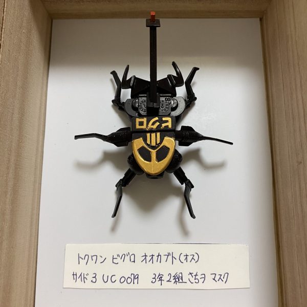 トクワンビグロオオカブト