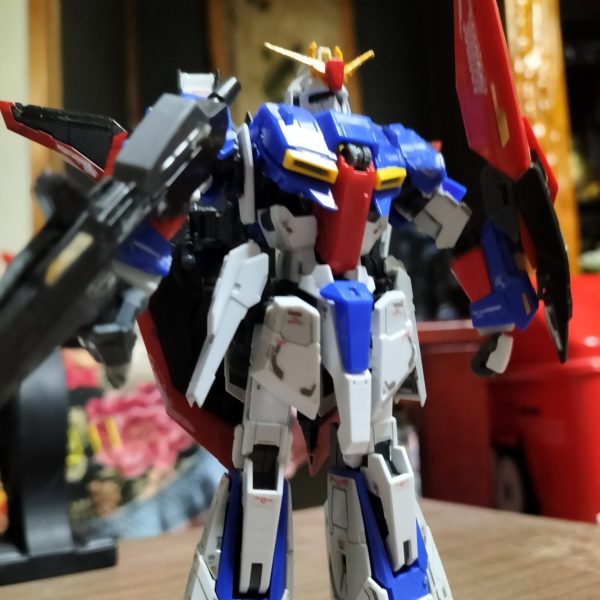 ボクの大好きなZ