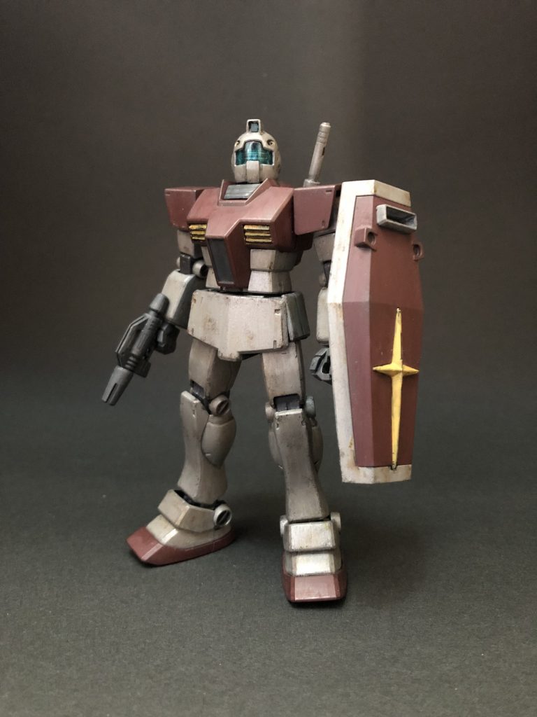 今月のエコプラ　ＨＧ　ジム　リアルタイプ風