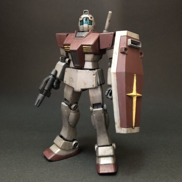 今月のエコプラ　ＨＧ　ジム　リアルタイプ風