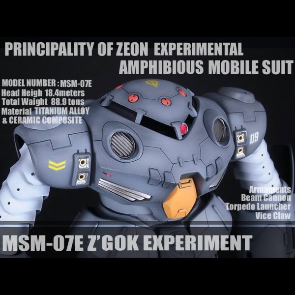 HG ゲルググJ ズゴックE ザクⅡ改　3点セット ズゴックE・ガンプラ改造作品まとめ｜0080 ポケットの中の戦争