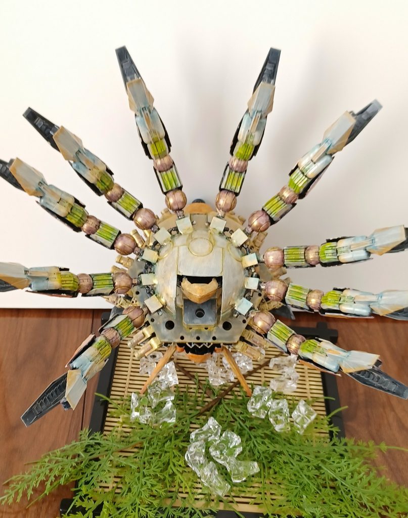 あんまり見たくない甲羅の裏。