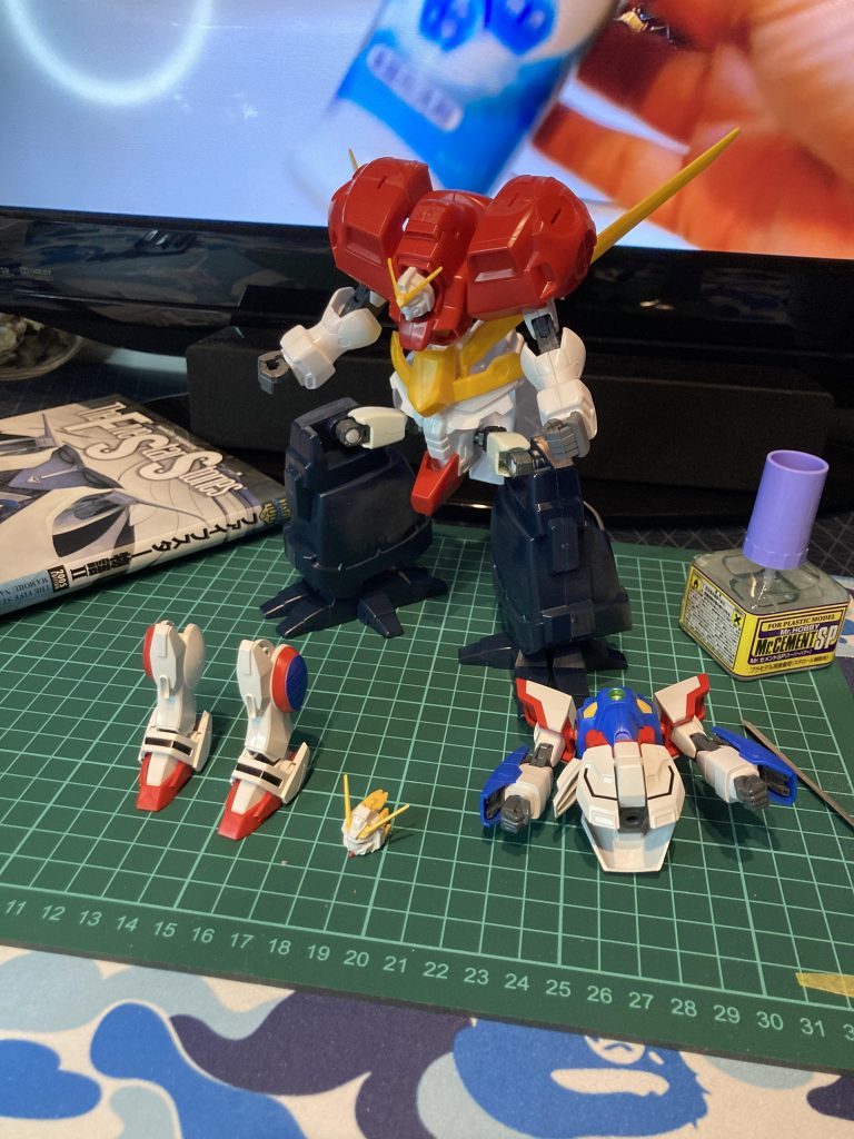 犠牲になったシャイニング。