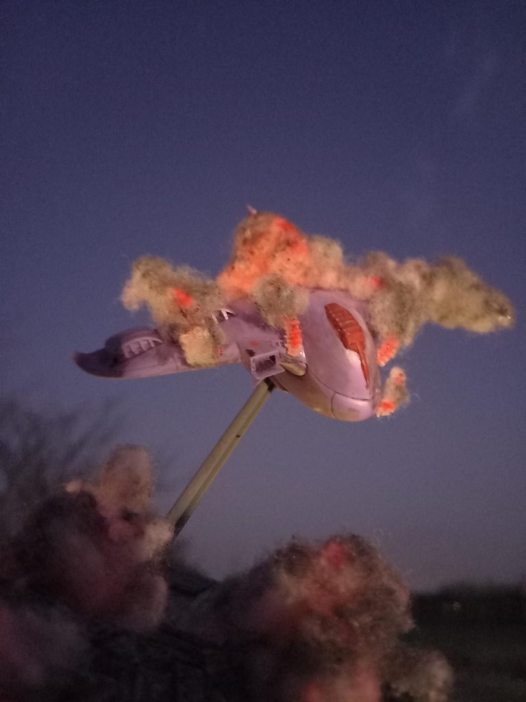 外で撮ってみたけど暗すぎていまいち。