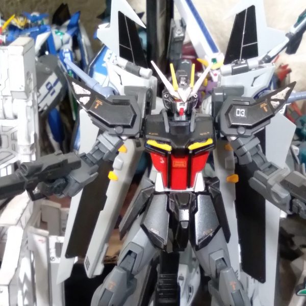 HGCE Strike Noir custom