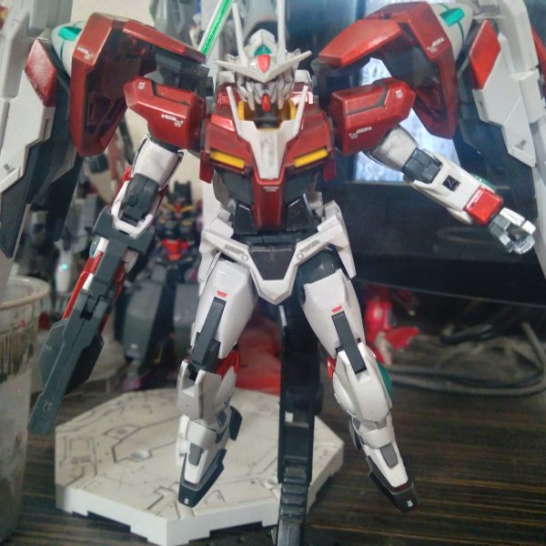 HG 00 Raiser (inspection colors)