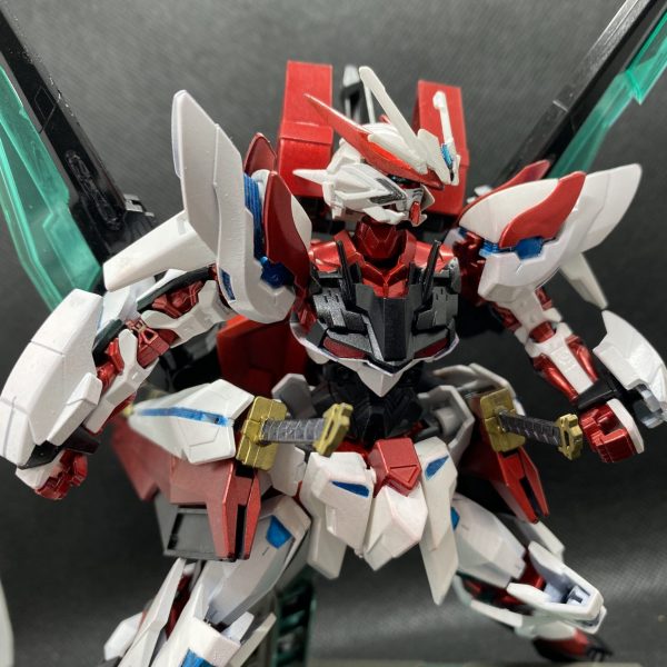 ロードアストレイNEO レッドフレーム改