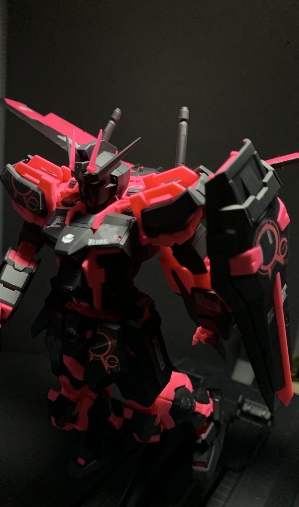 付属のカタパルトでポージングも色々と楽しめる良キット✨。 ポージングのセンスには課題がありますがw