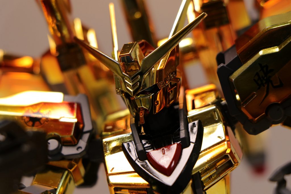 デジイチで撮ったのですが金メッキは露出が難しくてあまりよくわからないのが辛い…