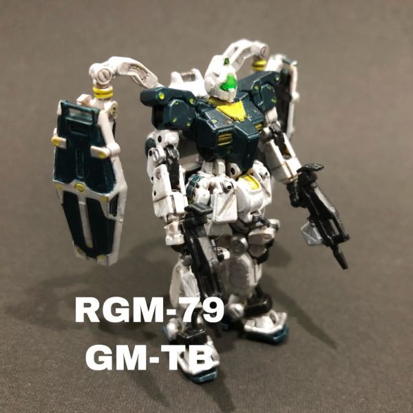 サンボルジム アーティファクト