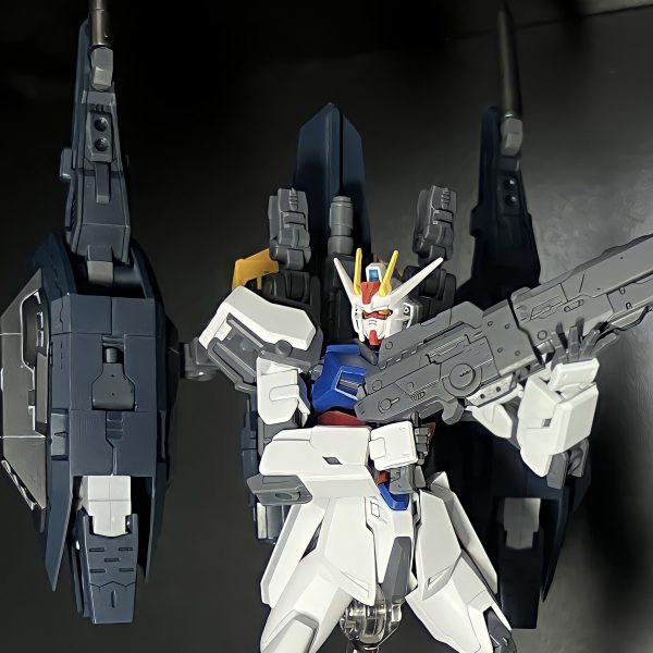 EG ストライクガンダム（ザフト仕様）