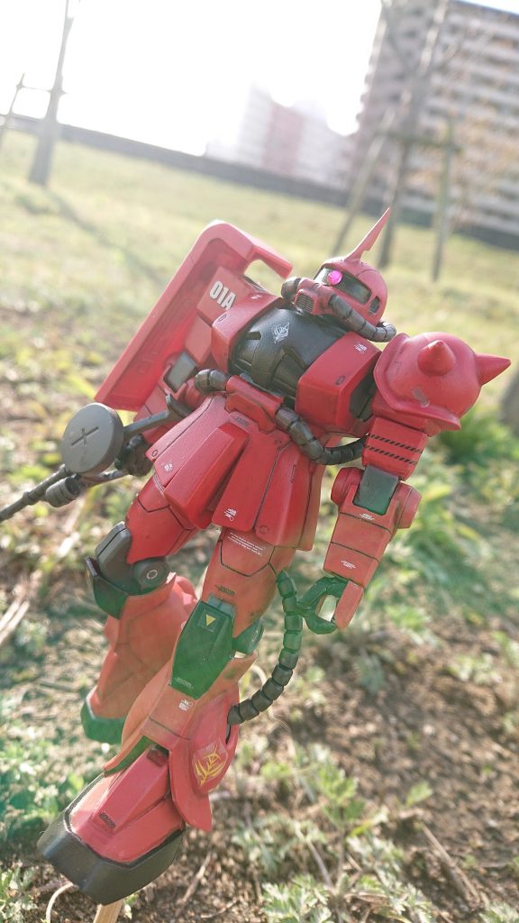 朝から良い天気でした。