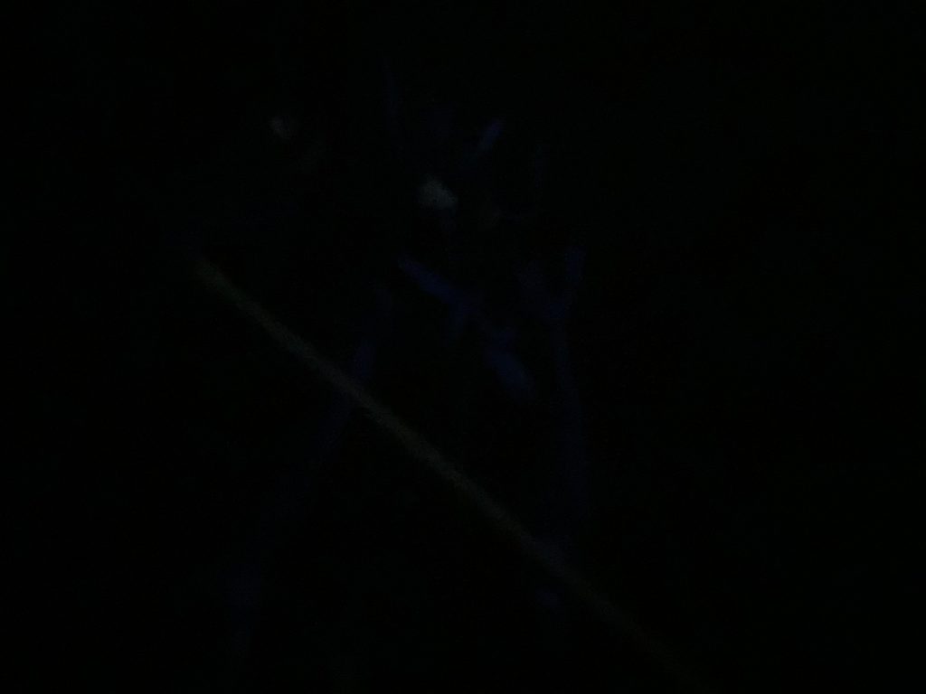 こちら暗くしすぎてブレイヴの跡形もなくなったミス写真ですということで!いかがでしたか?ブレイヴ指揮官用試験機(可変時)MSモードについては同時期に上がると思いますので!ぜひそちらも!では!ご観覧頂き!ありがとございました!!