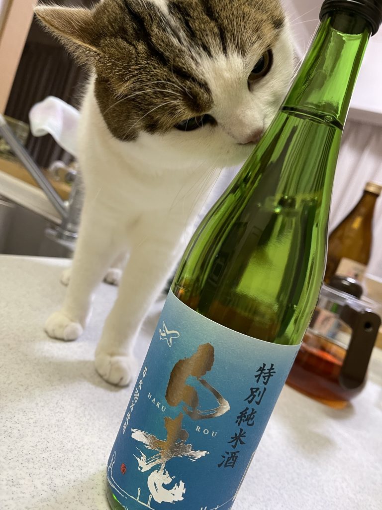 　元締めB社、問屋・小売りへのお怒りメール送付により昨今のガンプラ買えない問題が沈静化に向かうとの予測。はやく欲しい物がすんなり買えて楽しめるようになればイイですね。では、また本年もよろしくお願いいたします（遅すぎる）。