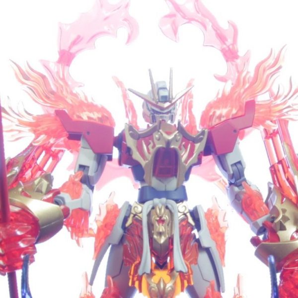 悟空トライバーニング