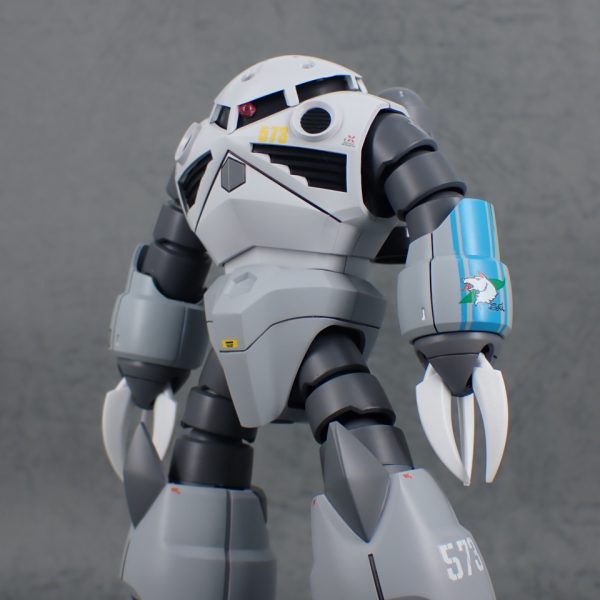 ズゴック　シン・マツナガ機　HG