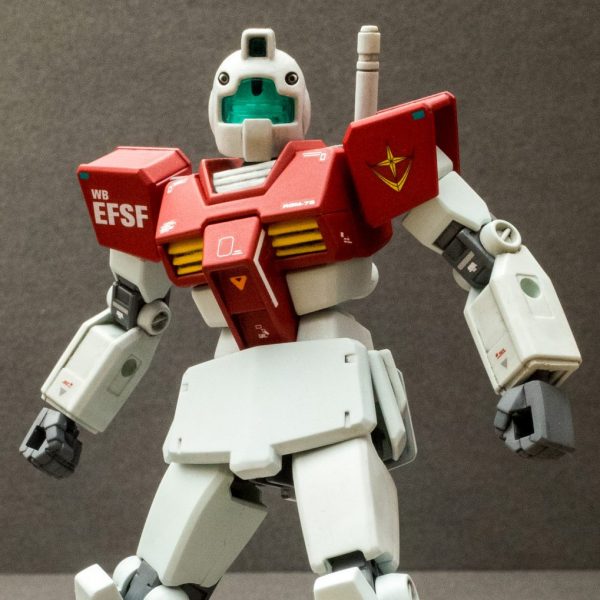 エントリーグレード ジム