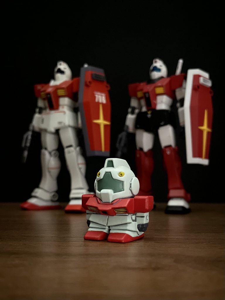 ジムの日記念に我が家のジムたちと。