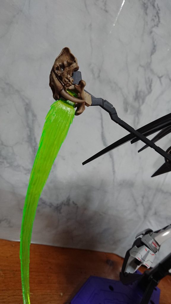 ビームサイズはサーベルタイガーの頭蓋骨