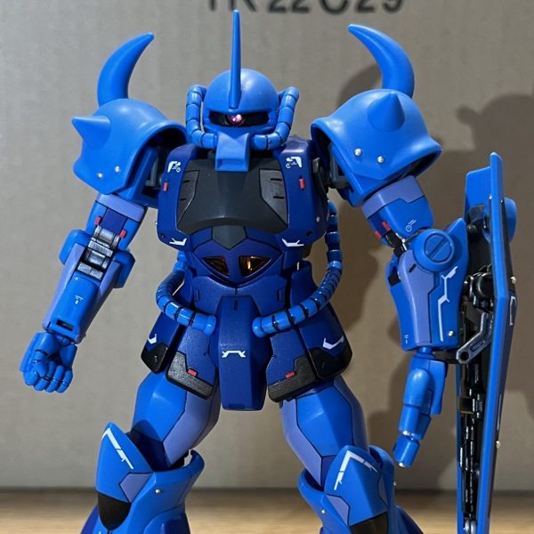 HGUC グフ revive RG風