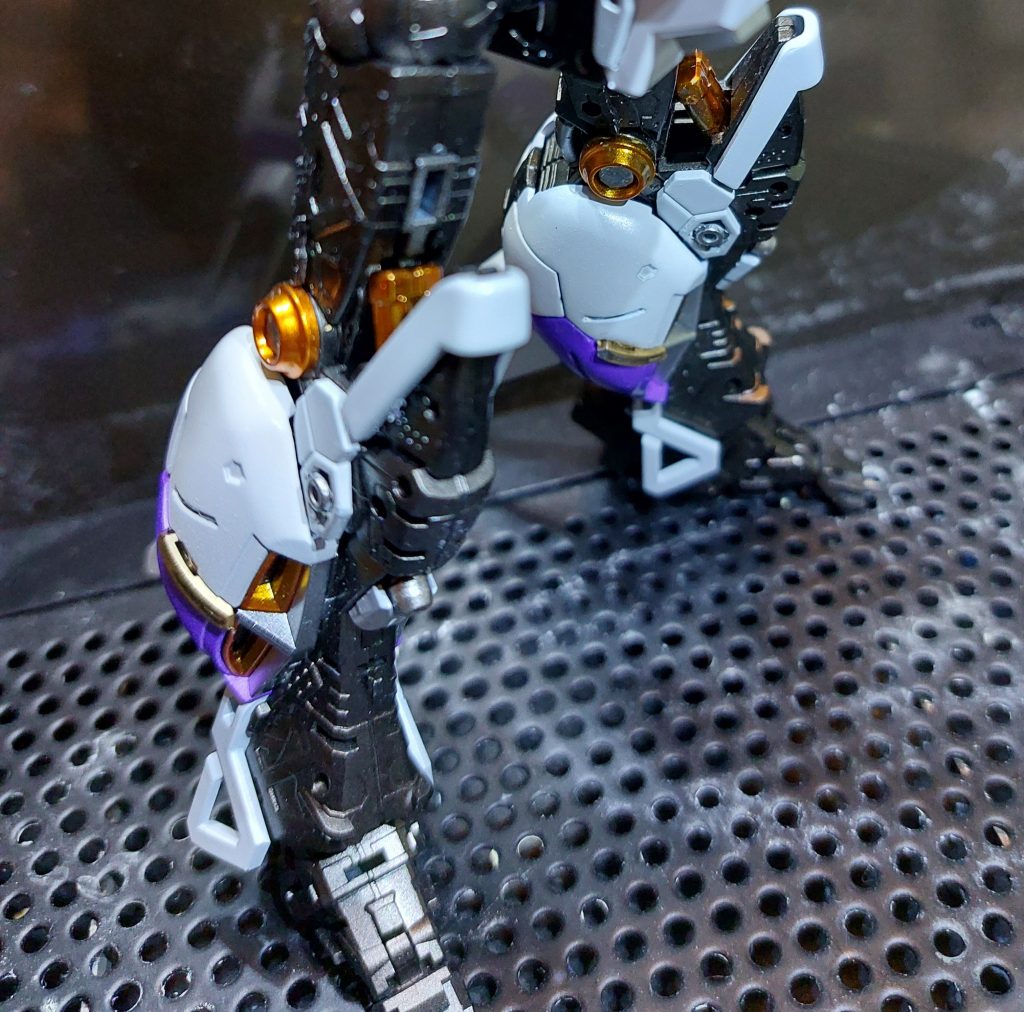 フレームは少し頑張った